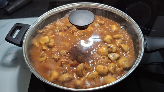 pan-with-lid-on
