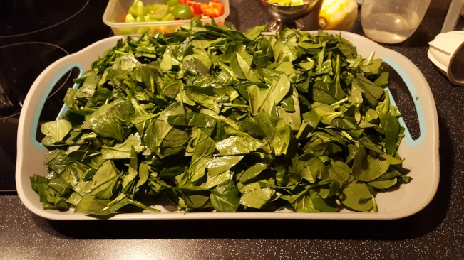 chopped spinach on a tray chopped spinach on a tray